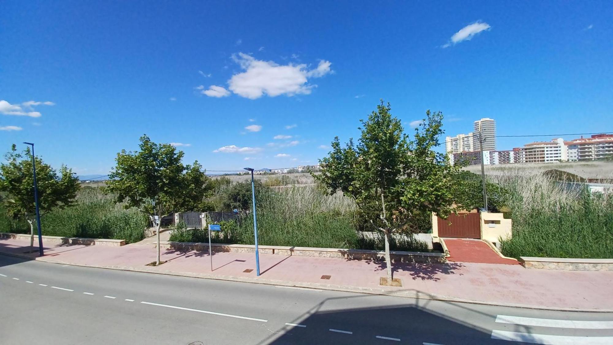 Azahares Vista Parque Orangecosta Apartment Peñíscola Екстериор снимка